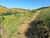 Sítio, 2 hectares - Foto 30