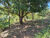 Sítio, 2 hectares - Foto 46