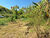Sítio, 2 hectares - Foto 47