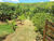 Sítio, 2 hectares - Foto 1