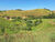 Sítio, 2 hectares - Foto 29