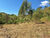 Sítio, 2 hectares - Foto 38