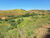Sítio, 2 hectares - Foto 32