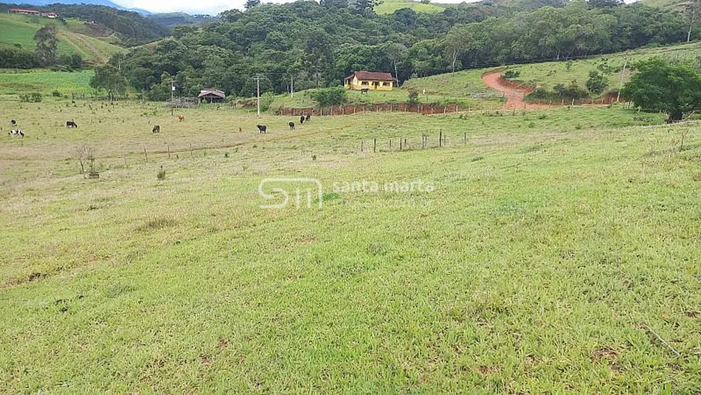 Fazenda, 36 hectares - Foto 3
