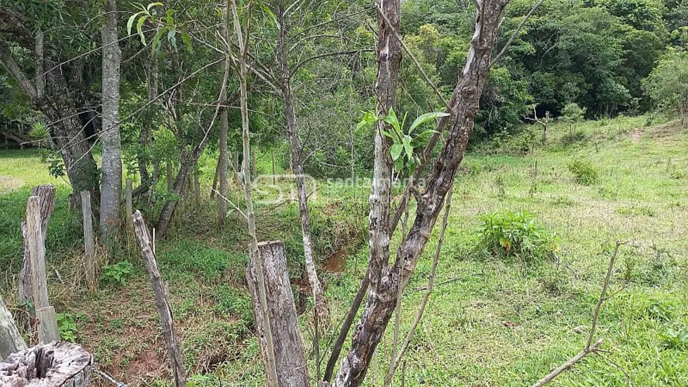 Fazenda, 36 hectares - Foto 2