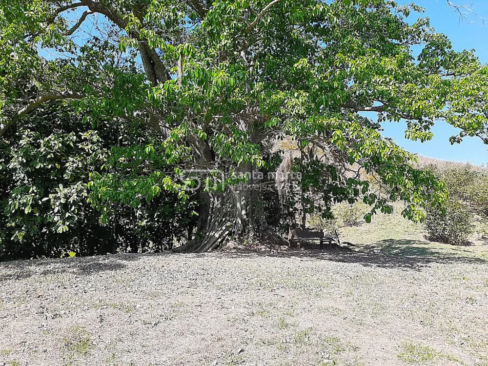 Chácara, 2 quartos, 2 hectares - Foto 3