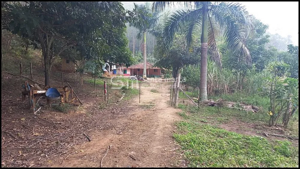 Fazenda, 81 hectares - Foto 1