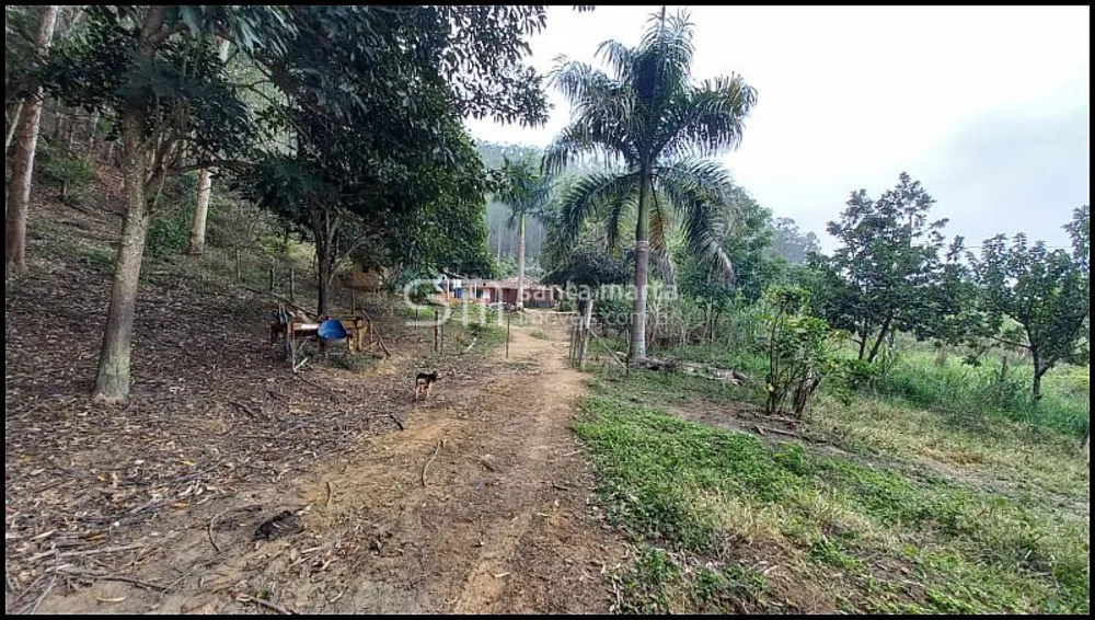 Fazenda, 81 hectares - Foto 8