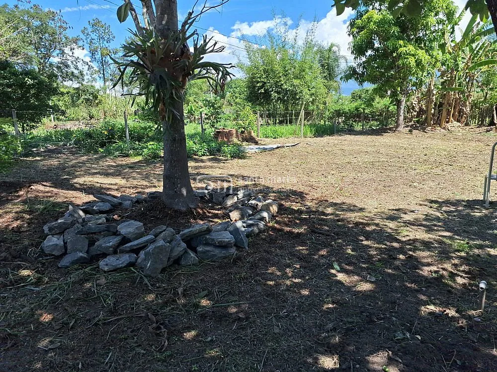 Chácara, 2 quartos, 2900 m² - Foto 5