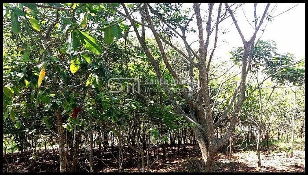 Sítio, 2 quartos, 4 hectares - Foto 4