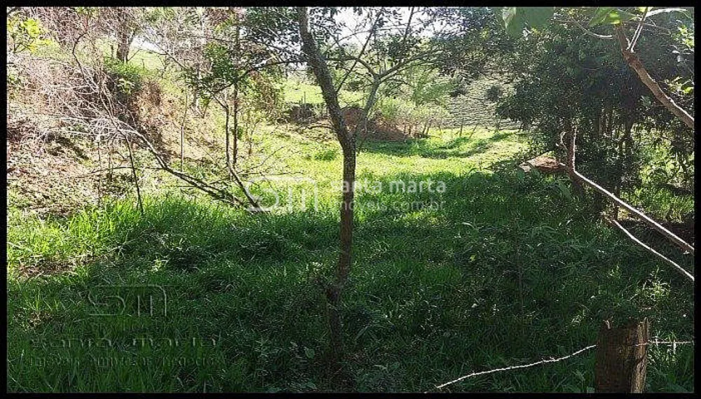 Sítio, 2 quartos, 4 hectares - Foto 6