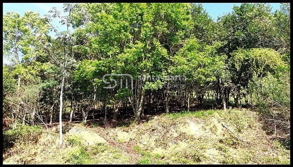 Sítio, 2 quartos, 4 hectares - Foto 3