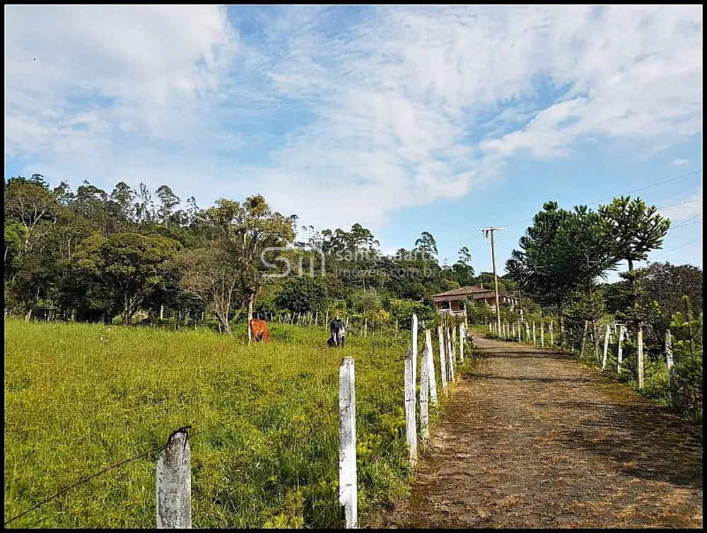 Sítio, 4 quartos, 15 hectares - Foto 2