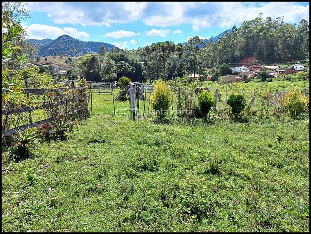 Sítio, 4 quartos, 15 hectares - Foto 10