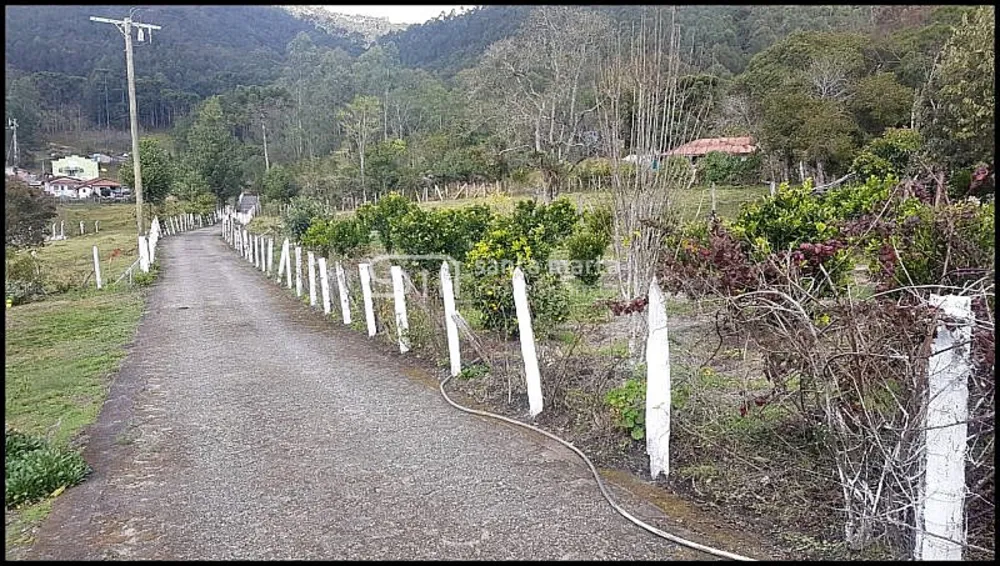 Sítio, 4 quartos, 15 hectares - Foto 3
