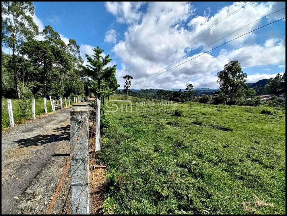 Sítio, 4 quartos, 15 hectares - Foto 12