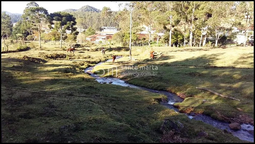 Sítio, 4 quartos, 15 hectares - Foto 4