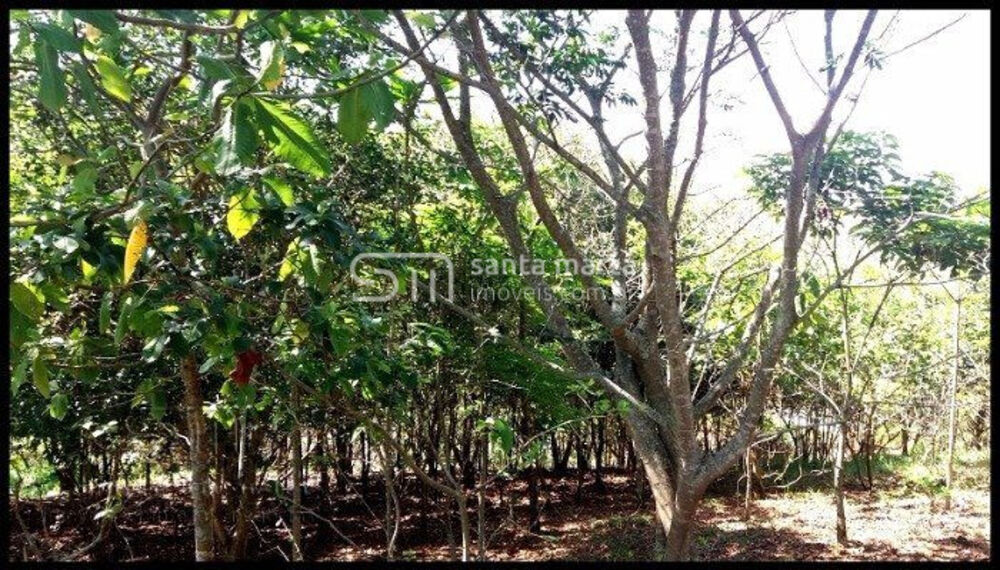 Sítio à venda com 2 quartos, 500m² - Foto 3