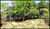 Sítio, 2 quartos, 4 hectares - Foto 4