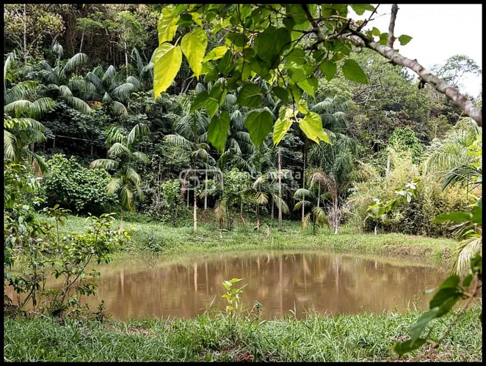 Sítio, 7 quartos, 12 hectares - Foto 10