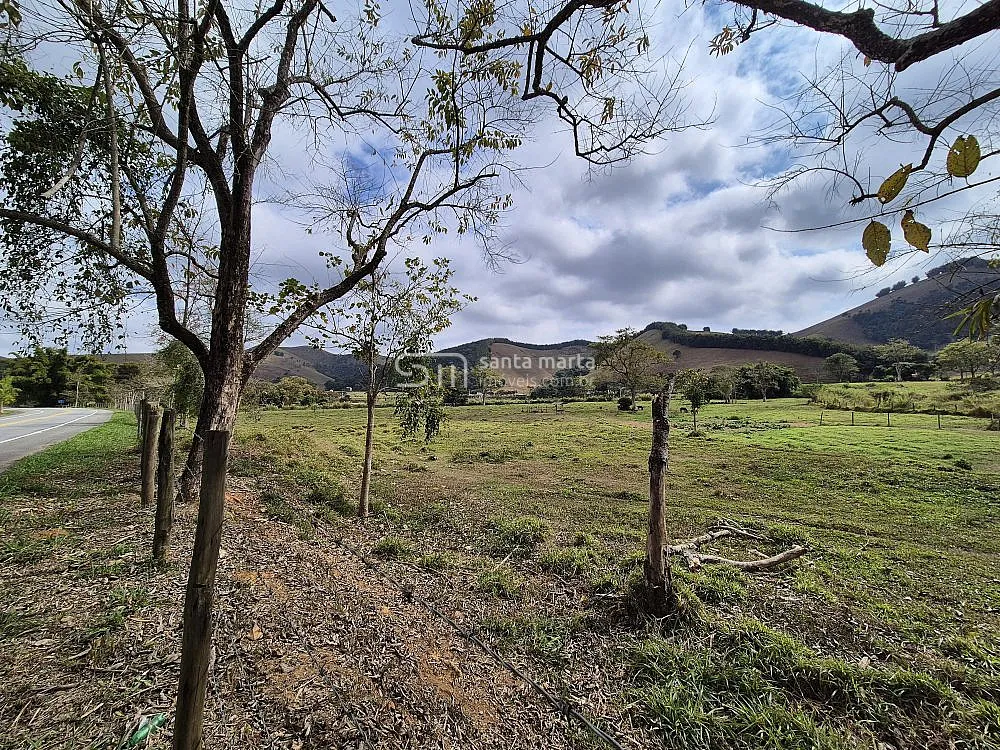 Sítio, 5 hectares - Foto 4
