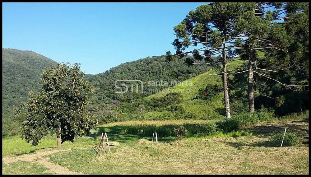 Sítio, 8 quartos, 11 hectares - Foto 6