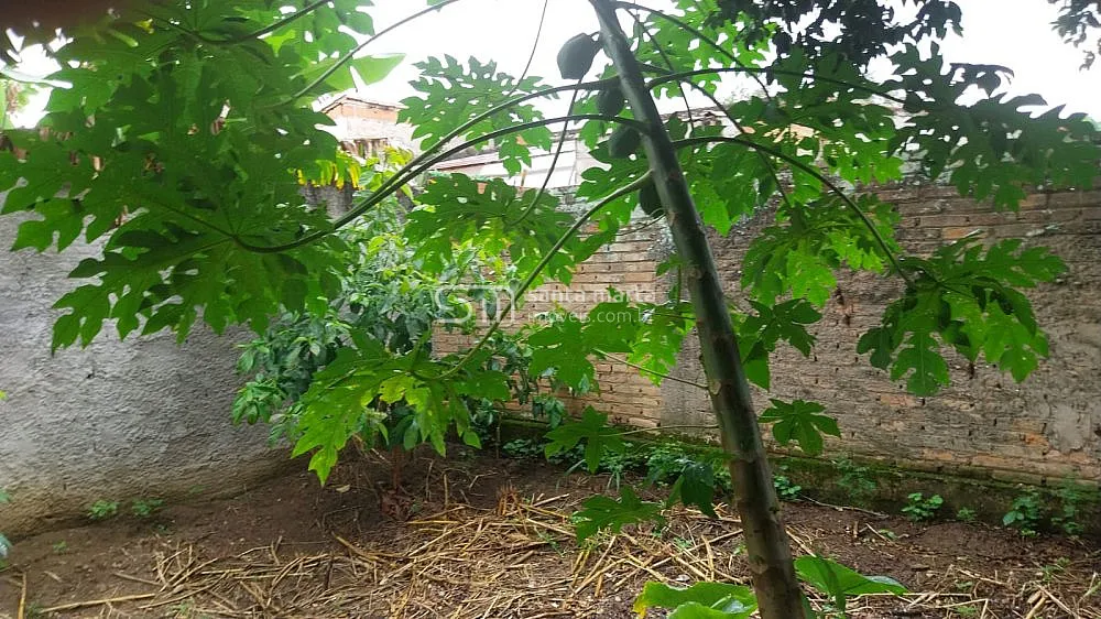Terreno, 3750 m² - Foto 3