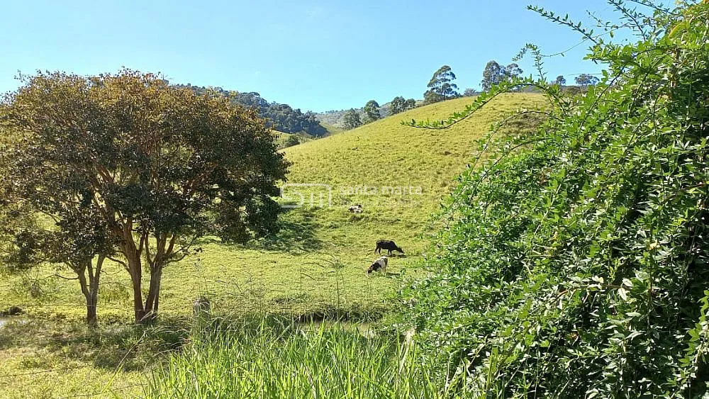 Sítio, 1 quarto, 29 hectares - Foto 12