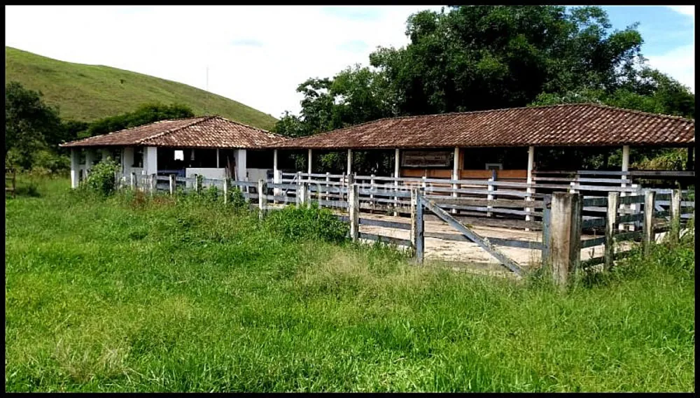 Sítio, 4 quartos, 18 hectares - Foto 5