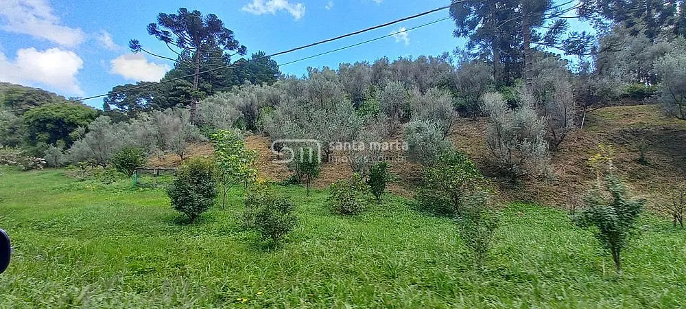 Fazenda, 83 hectares - Foto 1