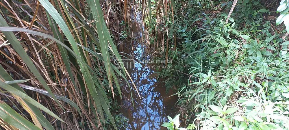 Fazenda, 83 hectares - Foto 8