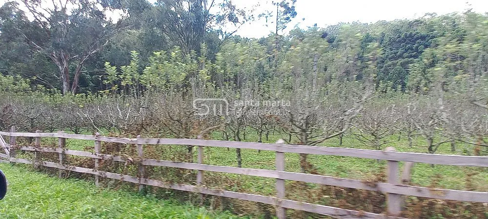 Fazenda, 83 hectares - Foto 2