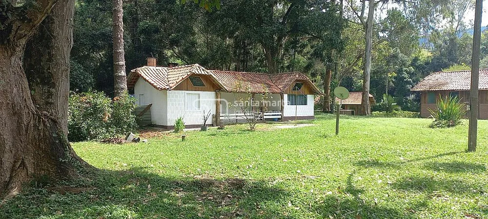 Fazenda, 83 hectares - Foto 7