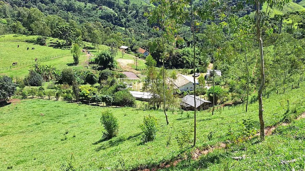 Sítio, 3 quartos, 2 hectares - Foto 2