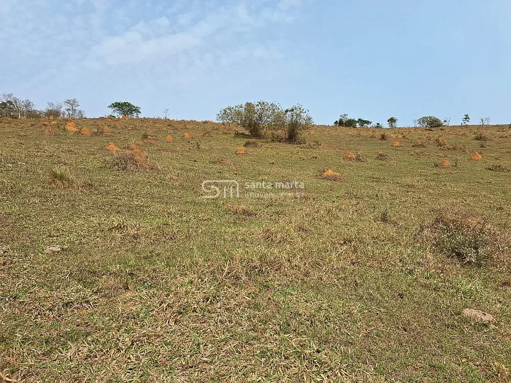 Sítio, 2 hectares - Foto 1
