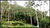 Fazenda, 157 hectares - Foto 1