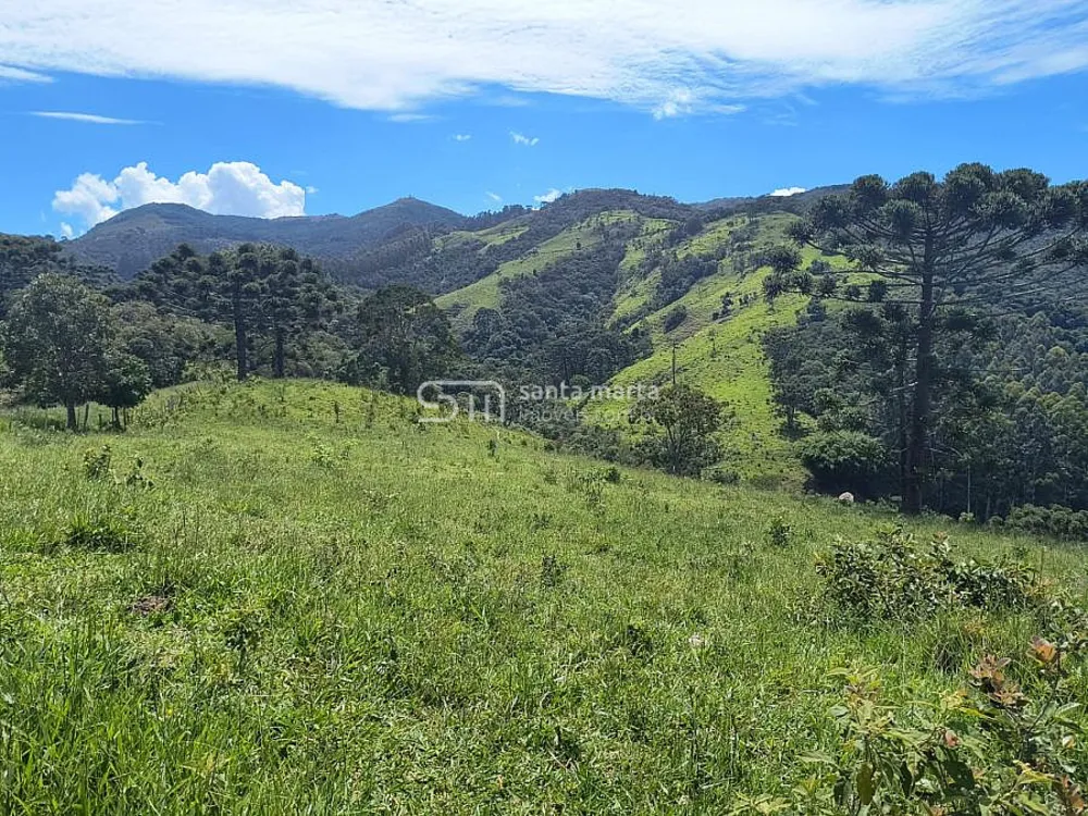 Fazenda, 65 hectares - Foto 4