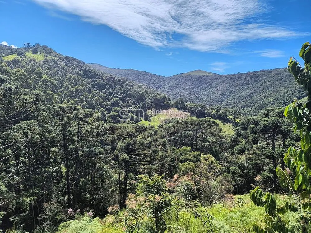 Fazenda, 65 hectares - Foto 2