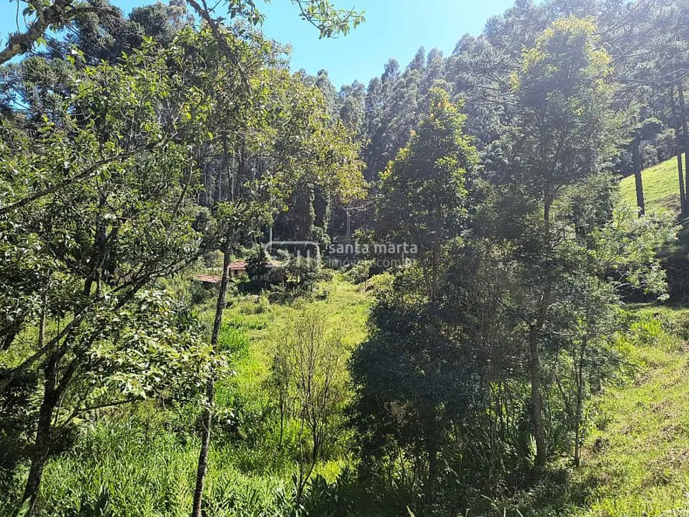 Fazenda, 65 hectares - Foto 1