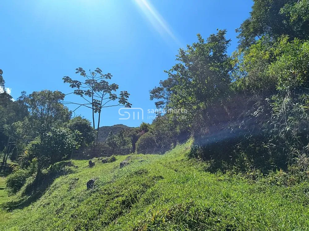 Fazenda, 65 hectares - Foto 3