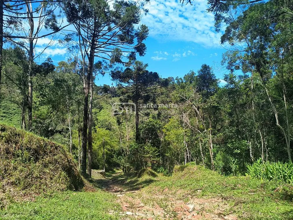 Sítio, 65 hectares - Foto 7