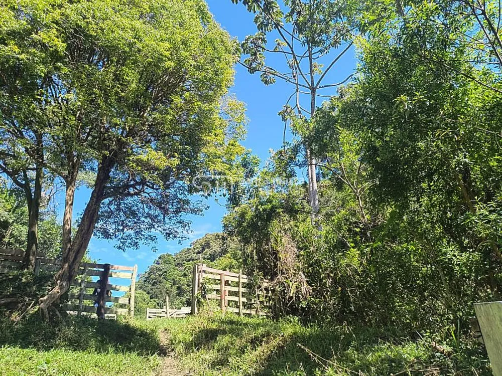 Sítio, 65 hectares - Foto 8
