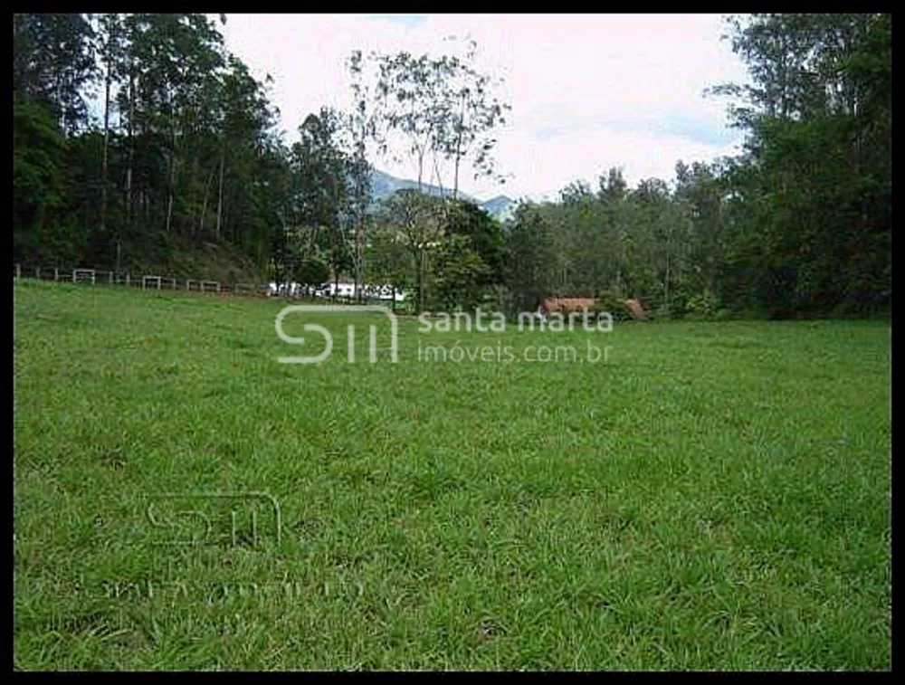 Fazenda, 291 hectares - Foto 7