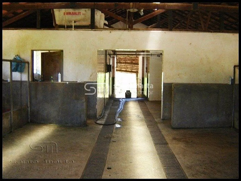 Fazenda, 291 hectares - Foto 11