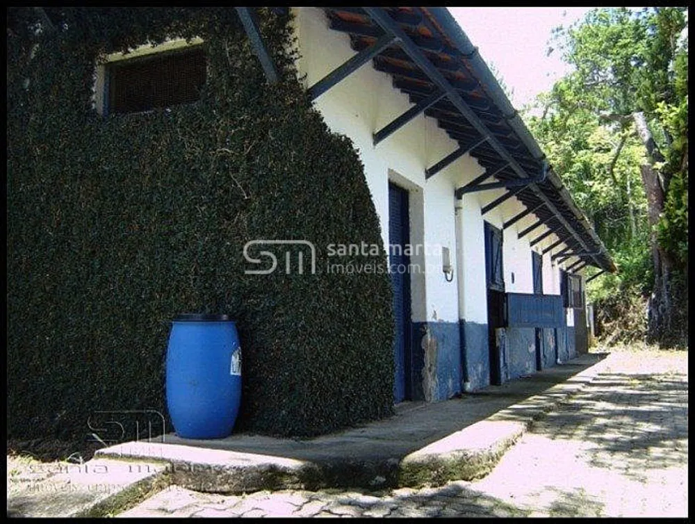 Fazenda, 291 hectares - Foto 9