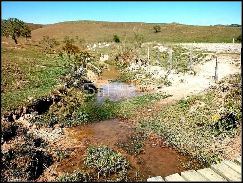 Fazenda, 140 hectares - Foto 15