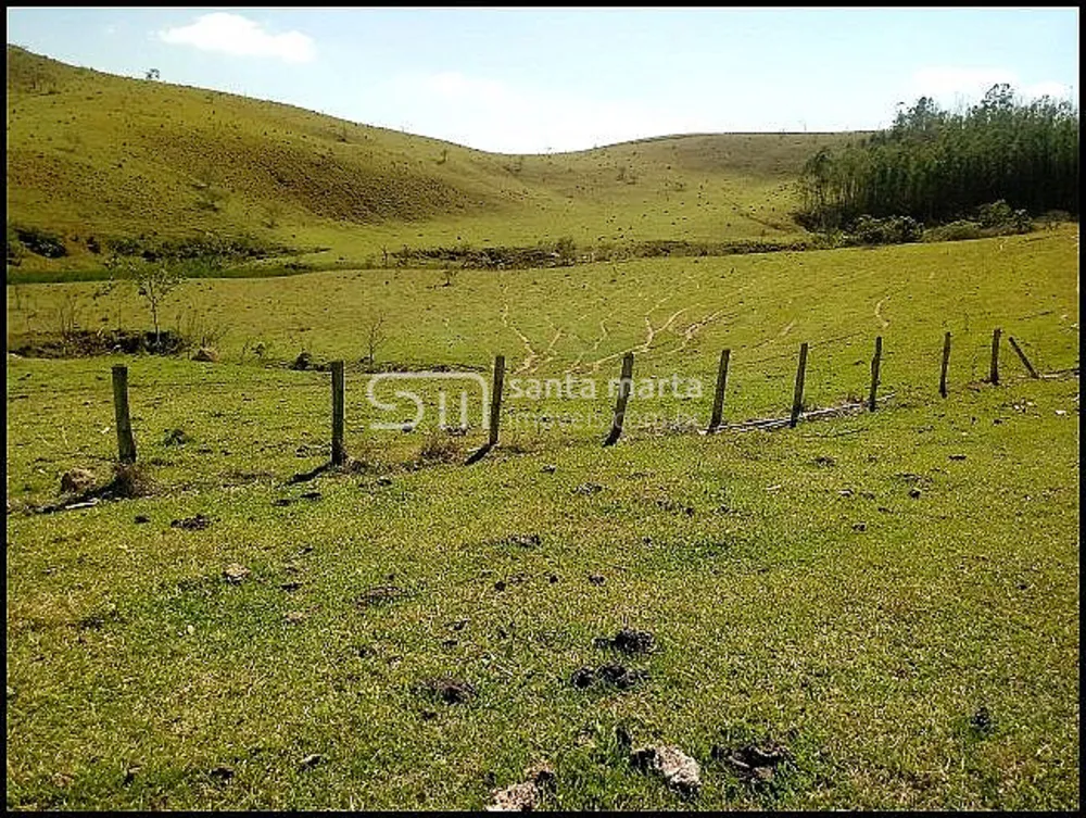 Fazenda, 140 hectares - Foto 6