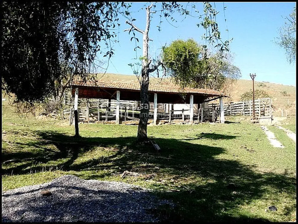 Fazenda, 140 hectares - Foto 13
