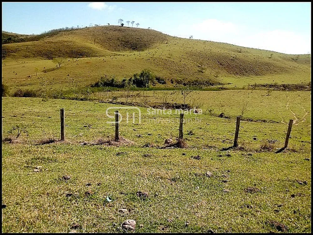 Fazenda, 140 hectares - Foto 16
