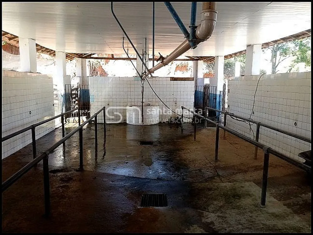 Fazenda, 140 hectares - Foto 2